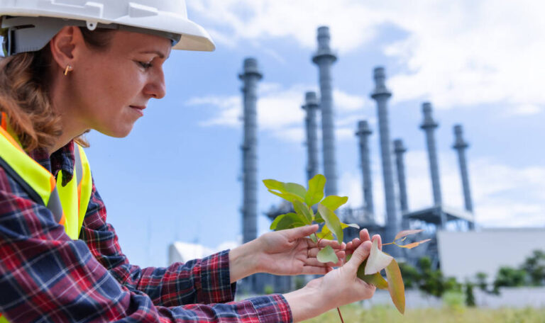 Female Engineer Inspects Tree for Carbon Offset Project