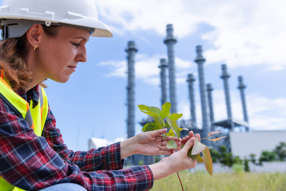 Female Engineer Inspects Tree for Carbon Offset Project