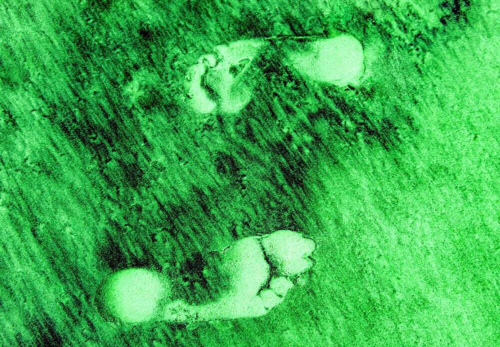 Two green footprints