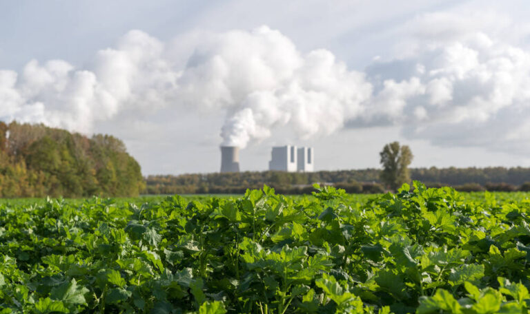 Plants with a factory emitting smoke in the background