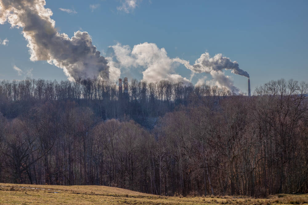 Smoke behind a forest