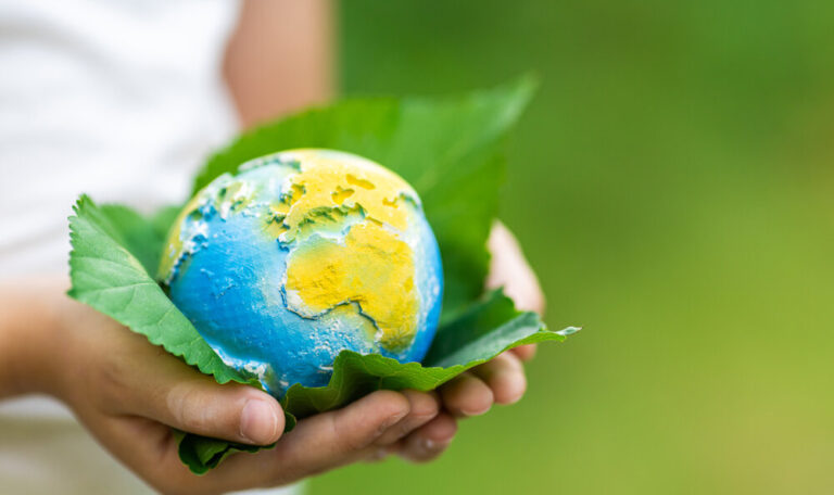 The earth in a leaf in a persons' hands