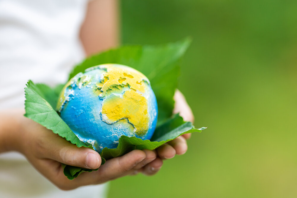 The earth in a leaf in a persons' hands