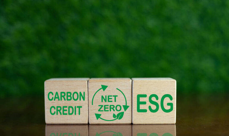 Wooden blocks with carbon credits written on them