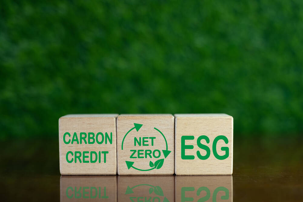 Wooden blocks with carbon credits written on them