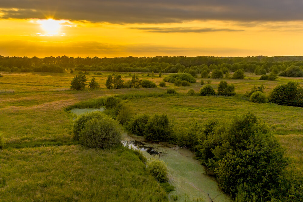 A river running through fields