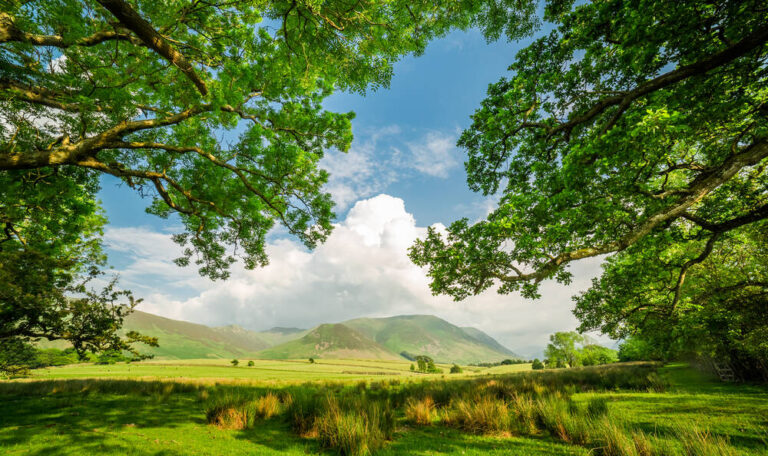 A frame made by field and trees in District Lake, England