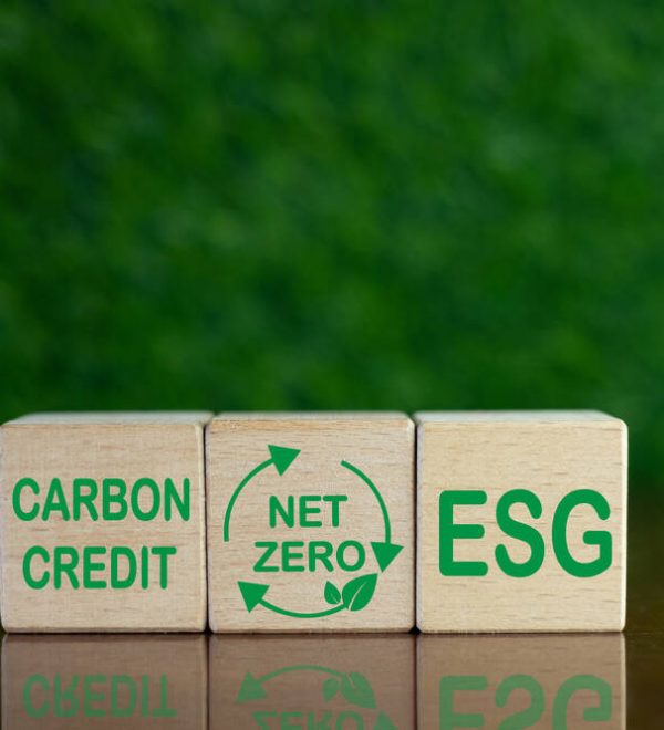 Wooden blocks with carbon credits written on them