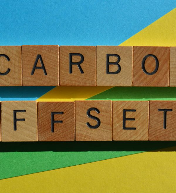 Carbon Offsets written on wooden blocks