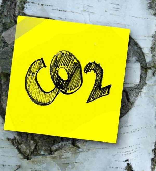 A Co2 label on a tree