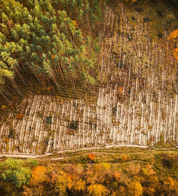 An arial view of an ara where deforestation has occured