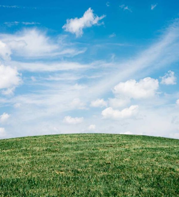 Green grass and blue sky