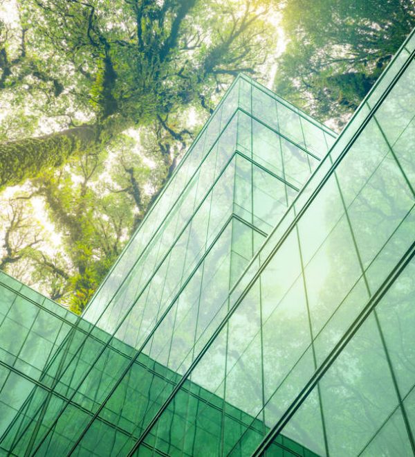 Eco-friendly building with trees