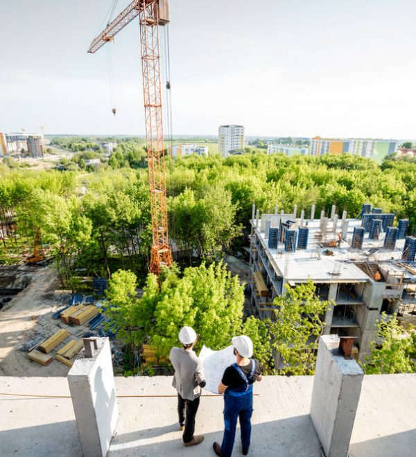 Construction site with trees