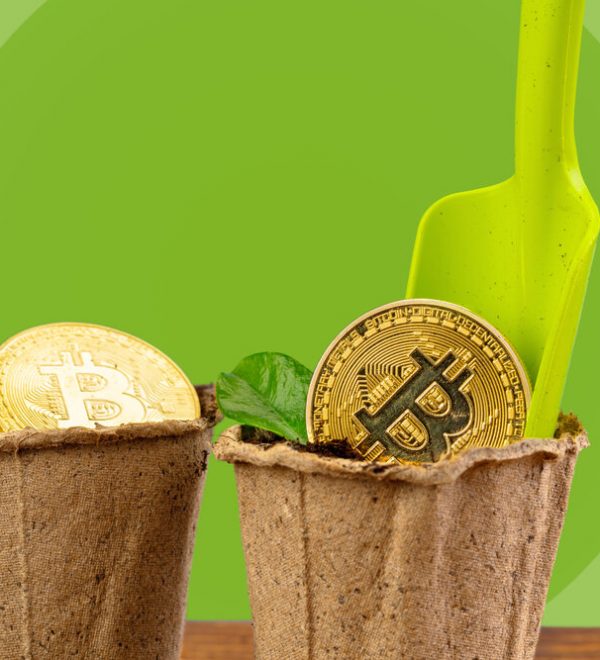 Bitcoins in plant pots