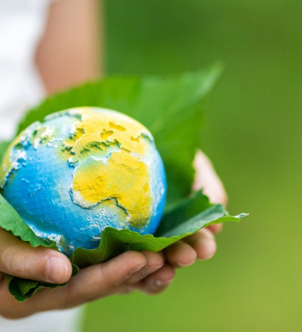 The earth in a leaf in a persons' hands