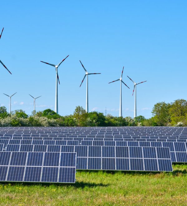 Solar panels and wind turbines