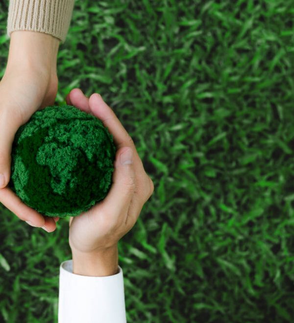 Two hands holding a green earth
