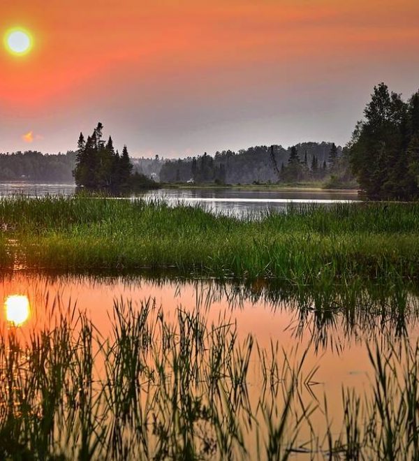 A wetland with a sunset above it