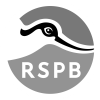 rspb-modified